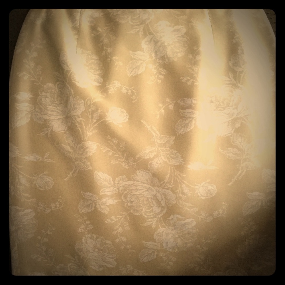 Ann Taylor skirt